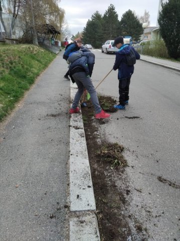 den zem 15